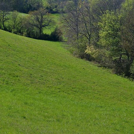 Chambre D'Hote Au Domaine Terre De Chenes Saint-Paul-de-Baise エクステリア 写真