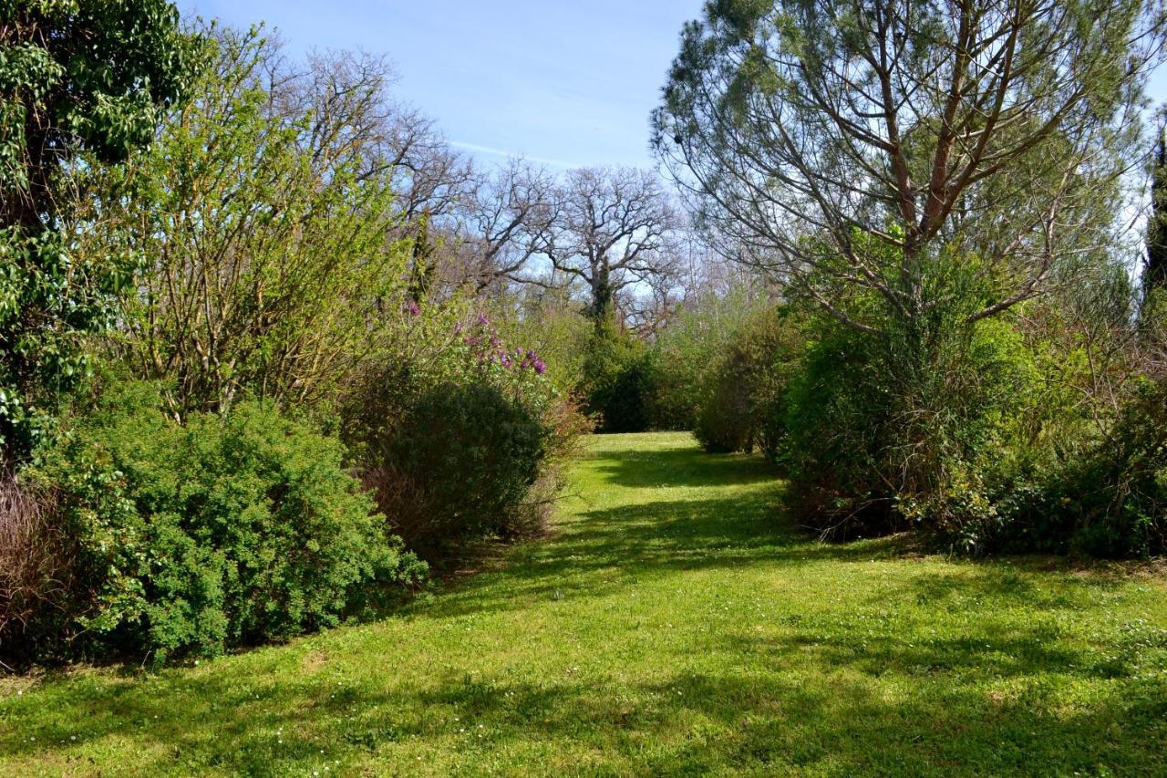 Chambre D'Hote Au Domaine Terre De Chenes Saint-Paul-de-Baise エクステリア 写真