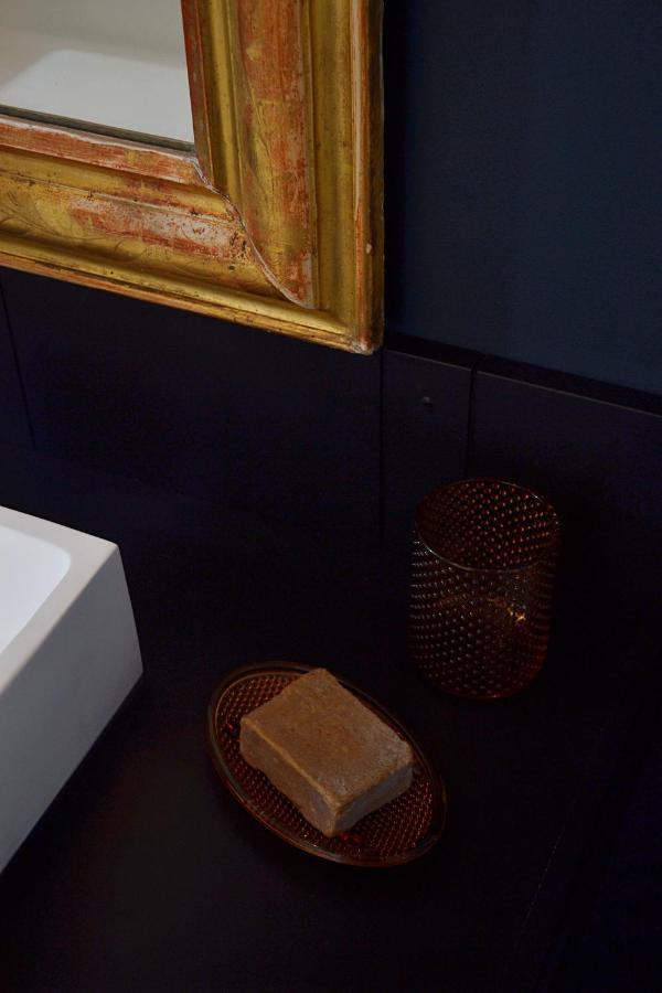 Chambre D'Hote Au Domaine Terre De Chenes Saint-Paul-de-Baise エクステリア 写真