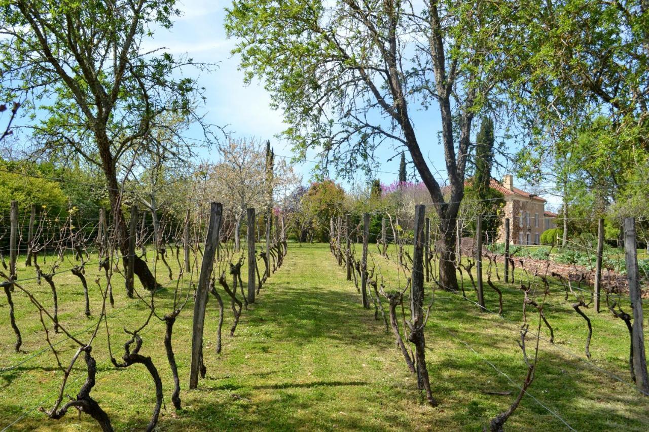 Chambre D'Hote Au Domaine Terre De Chenes Saint-Paul-de-Baise エクステリア 写真