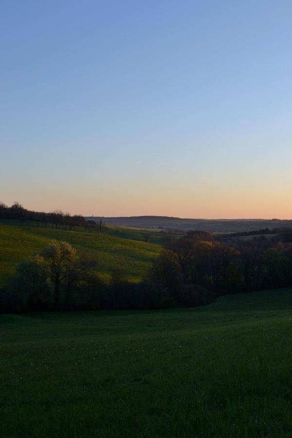 Chambre D'Hote Au Domaine Terre De Chenes Saint-Paul-de-Baise エクステリア 写真