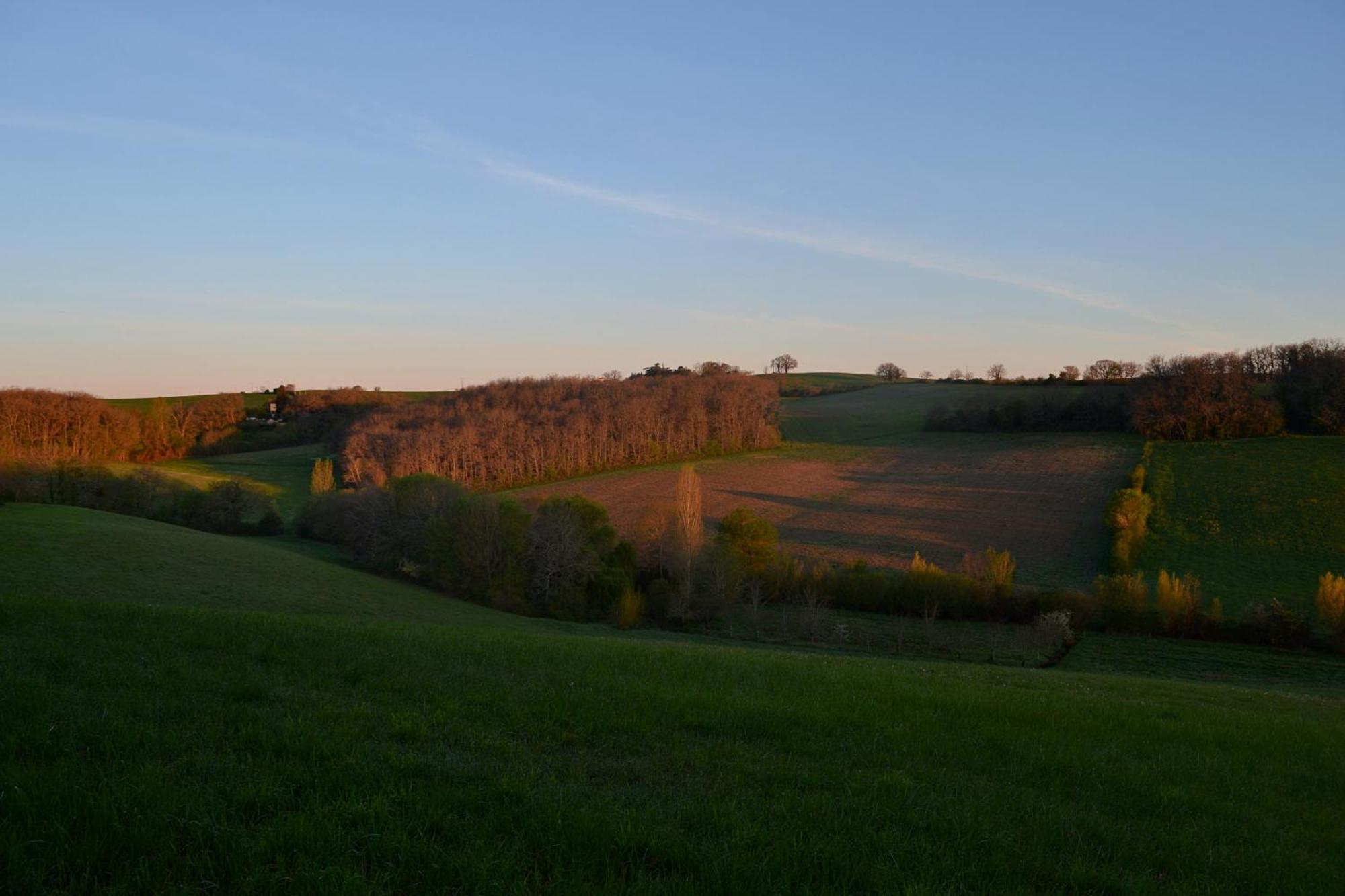 Chambre D'Hote Au Domaine Terre De Chenes Saint-Paul-de-Baise エクステリア 写真
